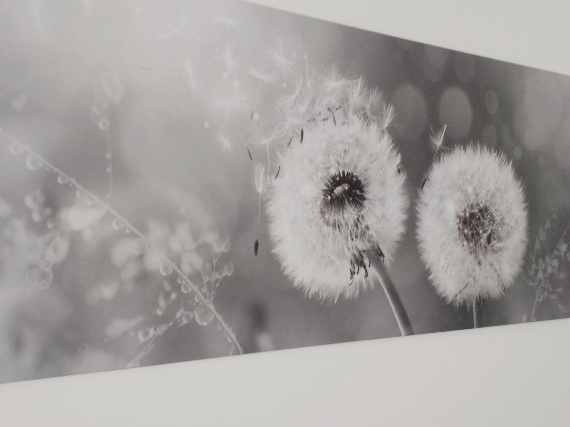 Appartamento Nonna Milde Assisi Exteriér fotografie